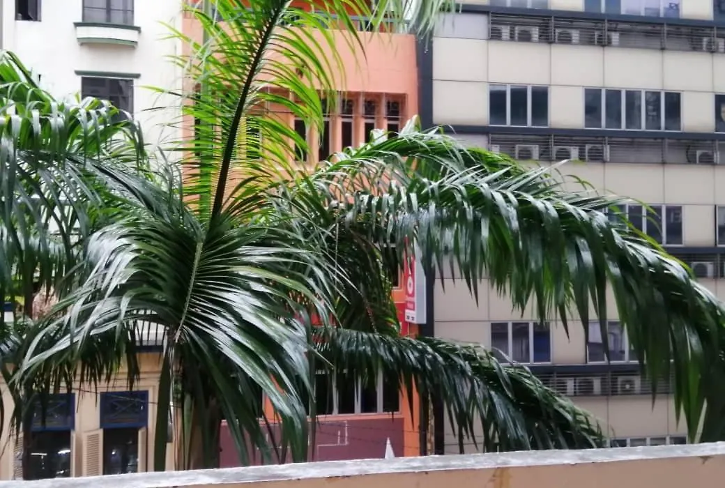 Ras International Hotel-1